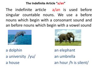 The Indefinite Article “ a/an ”