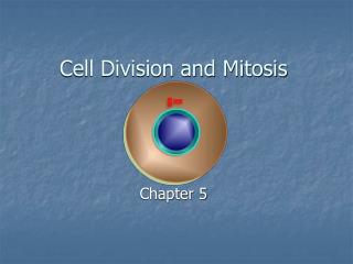 Cell Division and Mitosis