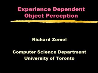 Experience Dependent Object Perception