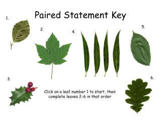 Paired Statement Key