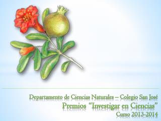 Colegio San José. C/ San Ignacio 2. 06220 Villafranca de los Barros (Badajoz)