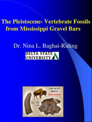 The Pleistocene- Vertebrate Fossils from Mississippi Gravel Bars 		Dr. Nina L. Baghai-Riding
