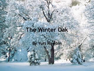 The Winter Oak