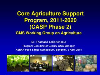 Core Agriculture Support Program, 2011-2020 (CASP Phase 2)
