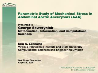 Parametric Study of Mechanical Stress in Abdominal Aortic Aneurysms (AAA)