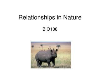 Relationships in Nature