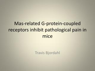 Mas -related G-protein-coupled receptors inhibit pathological pain in mice