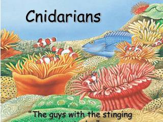 Cnidarians