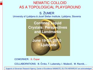 NEMATIC COLLOID AS A TOPOLOGICAL PLAYGROUND