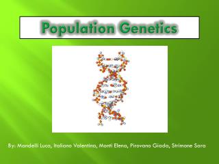 Population Genetics