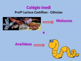 Colégio Inedi Profª Larissa Castilhos - Ciências