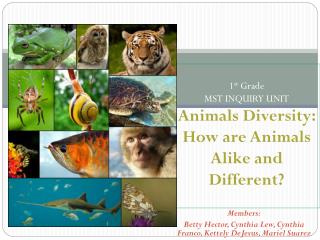 1 st Grade MST INQUIRY UNIT Animals Diversity: How are Animals Alike and Different?