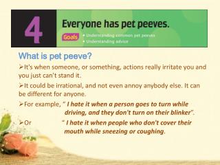 What is pet peeve?