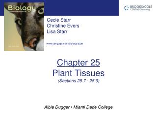 Chapter 25 Plant Tissues (Sections 25.7 - 25.9)