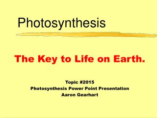 Photosynthesis