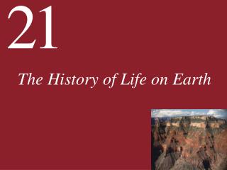 The History of Life on Earth