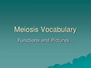 Meiosis Vocabulary