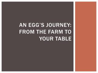 An egg’s journey: From the farm to your table