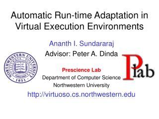 Automatic Run-time Adaptation in Virtual Execution Environments