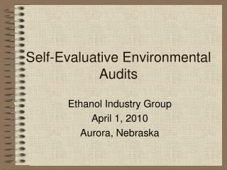 Self-Evaluative Environmental Audits