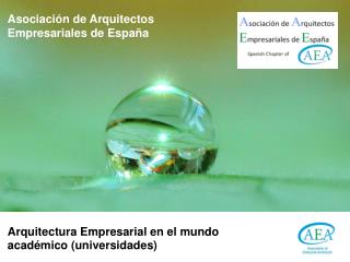 Asociación de Arquitectos Empresariales de España