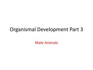 Organismal Development Part 3