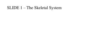 SLIDE 1 – The Skeletal System