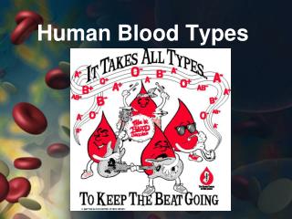 Human Blood Types