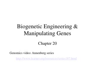 Biogenetic Engineering &amp; Manipulating Genes