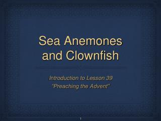 Sea Anemones and Clownfish