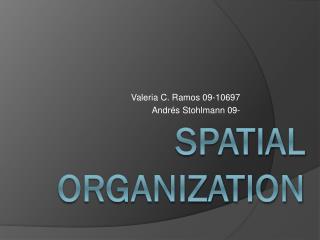 SPATIAL ORGANIZATION