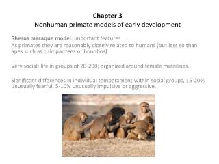Chapter 3 Nonhuman primate models of early development