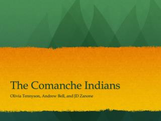 The Comanche Indians