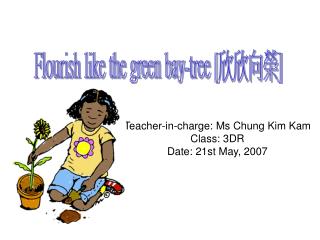 Teacher-in-charge: Ms Chung Kim Kam Class: 3DR Date: 21st May, 2007