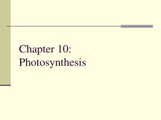 Chapter 10: Photosynthesis