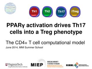 PPAR γ activation drives Th17 cells into a Treg phenotype