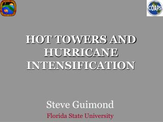HOT TOWERS AND HURRICANE INTENSIFICATION