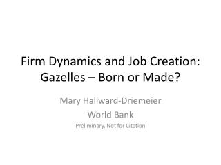 Firm Dynamics and Job Creation: Gazelles – Born or Made?