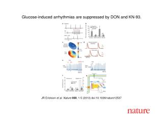 JR Erickson et al. Nature 000 , 1-5 (2013) doi:10.1038/nature12537