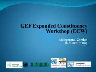 GEF Expanded Constituency Workshop (ECW)