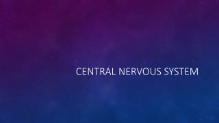 Central Nervous System