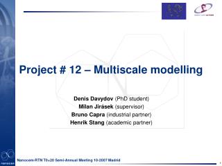 Project # 12 – Multiscale modelling