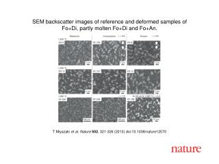 T Miyazaki et al. Nature 502 , 321-326 (2013) doi:10.1038/nature12570