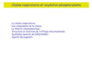 Cha î ne respiratoire et oxydation phosphorylante