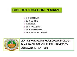 V G SHOBHANA Dr. N SENTHIL KALPANA K. Dr. P NAGARAJAN Dr. M RAVEENDRAN Dr. P BALASUBRAMANIAN