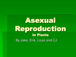 Asexual Reproduction In Plants