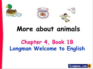 Chapter 4, Book 1B Longman Welcome to English