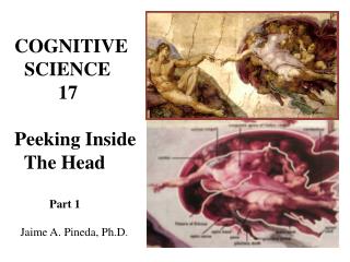 COGNITIVE SCIENCE 17 Peeking Inside The Head Part 1