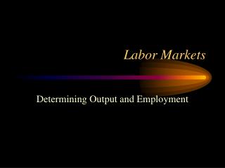 Labor Markets