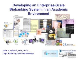 Developing an Enterprise-Scale Biobanking System in an Academic Environment